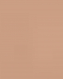 Malu Wilz Absolute resist foundation  11  Biscuit